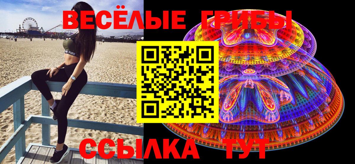 Галлюциногенные грибы GOLDEN TEACHER Советский